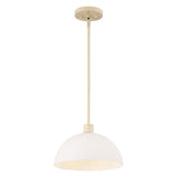 Solene Modern Contemporary Adjustable Metal/Glass Dome LED Pendant