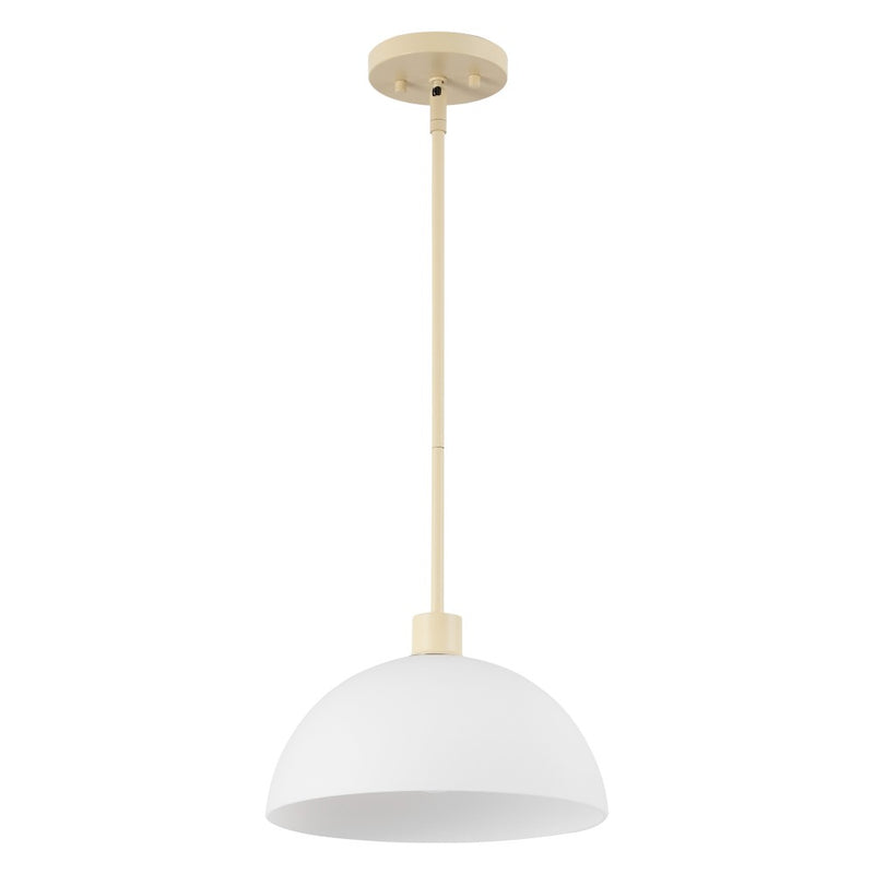 Solene Modern Contemporary Adjustable Metal/Glass Dome LED Pendant