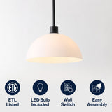 Solene Modern Contemporary Adjustable Metal/Glass Dome LED Pendant