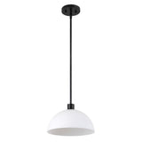 Solene Modern Contemporary Adjustable Metal/Glass Dome LED Pendant