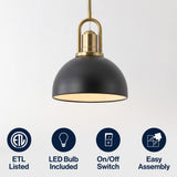 Zane 9.5 in. 1-Light Modern Farmhouse Industrial Metal Dome LED Pendant