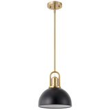Zane 9.5 in. 1-Light Modern Farmhouse Industrial Metal Dome LED Pendant