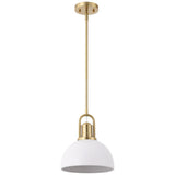 Zane 9.5 in. 1-Light Modern Farmhouse Industrial Metal Dome LED Pendant
