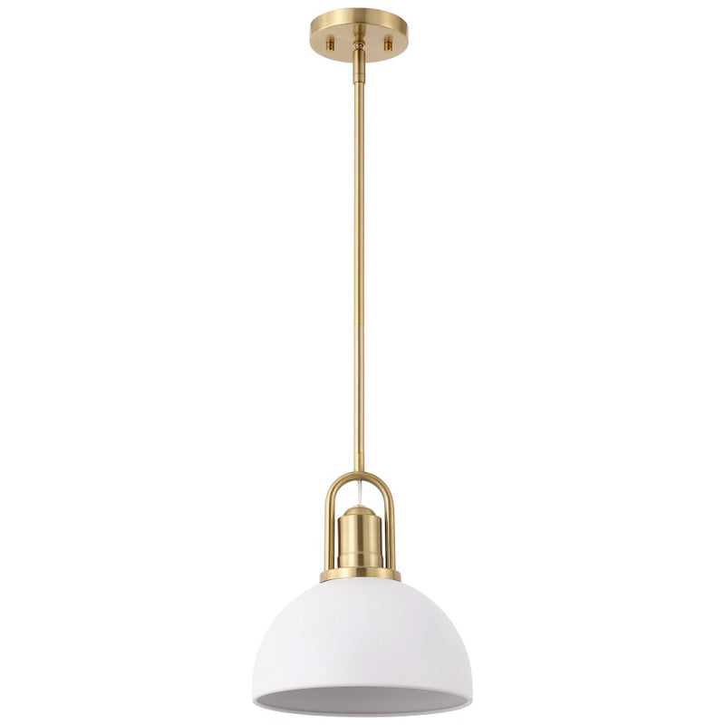 Zane 9.5 in. 1-Light Modern Farmhouse Industrial Metal Dome LED Pendant
