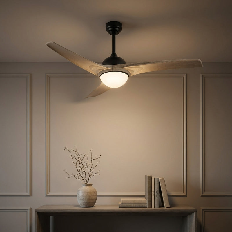 Light on image JYL9717B