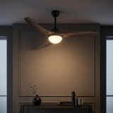 Light on image JYL9717C