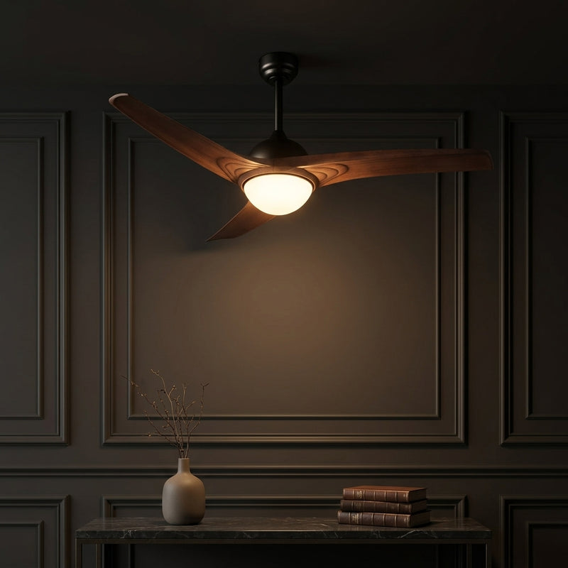 Light on image JYL9717D