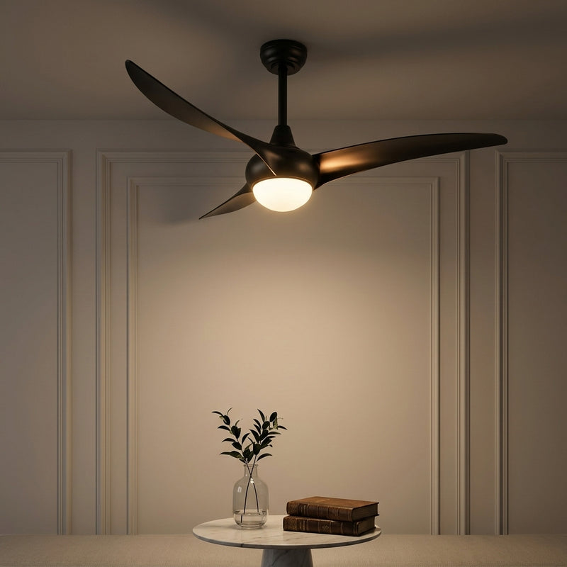 Light on image JYL9718A