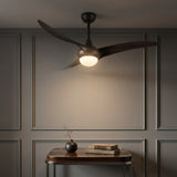 Light on image JYL9718C