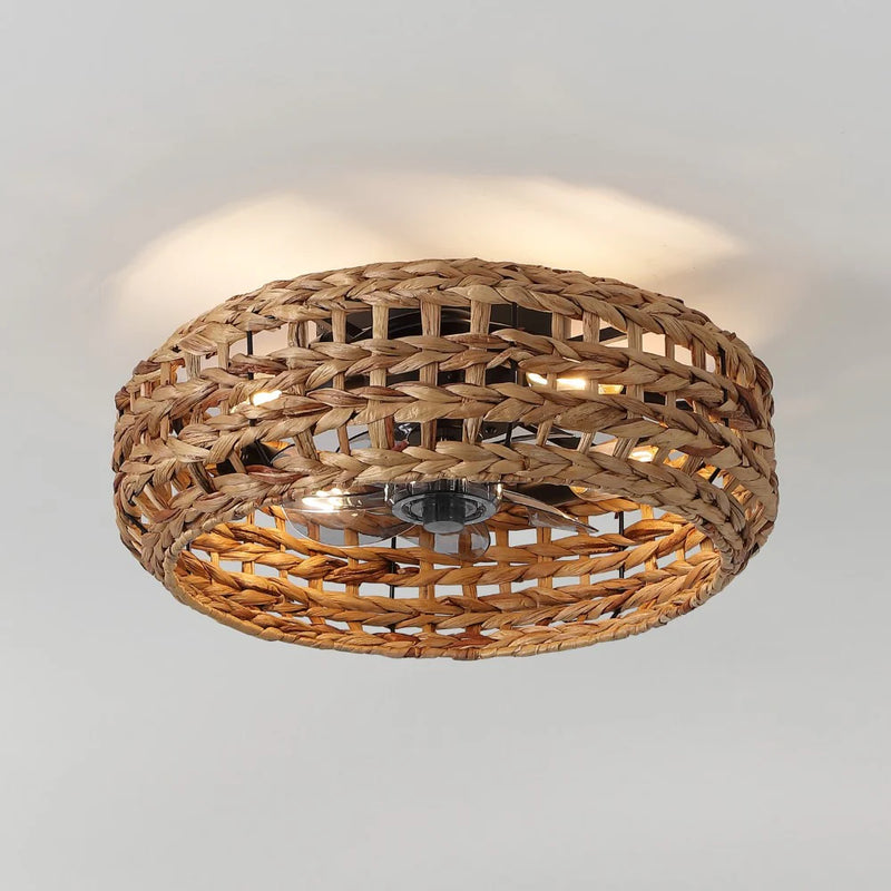 Ceiling Fans collection banner