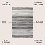 Austin Gradient Striped Area Rug