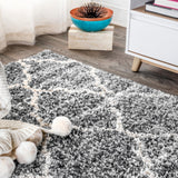 Susa Ogee Moroccan Trellis Shag Area Rug