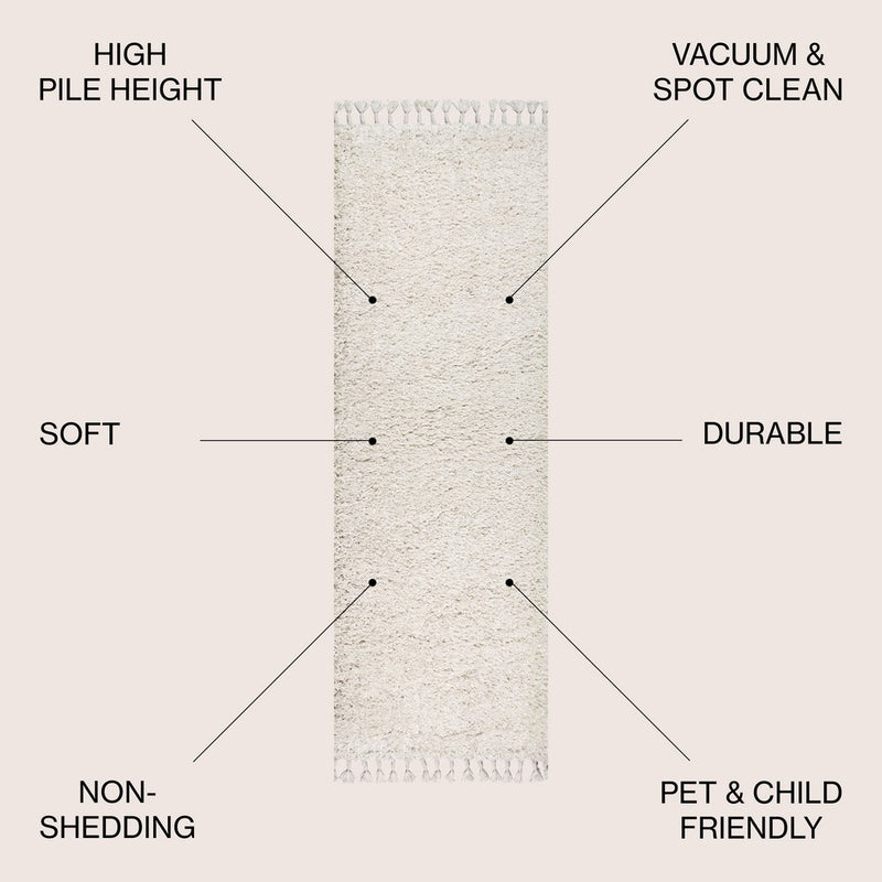 Mercer Shag Plush Tassel Area Rug