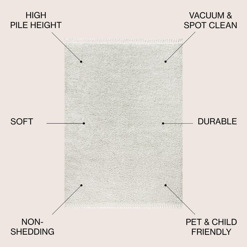Mercer Shag Plush Tassel Area Rug