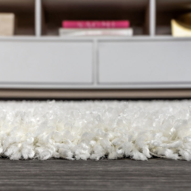 Mercer Shag Plush Tassel Area Rug
