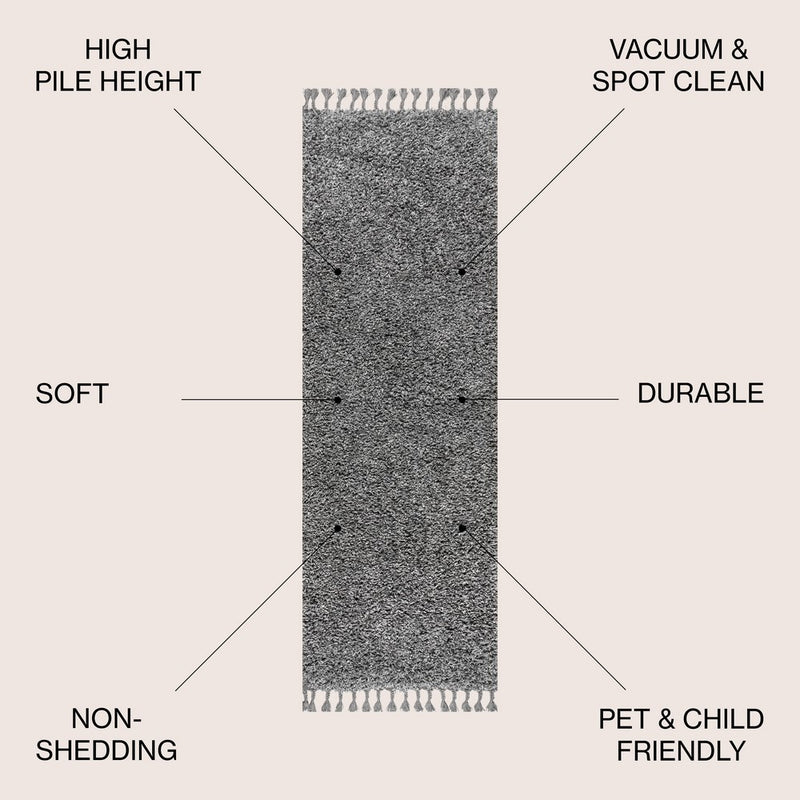 Mercer Shag Plush Tassel Area Rug