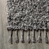 Mercer Shag Plush Tassel Area Rug