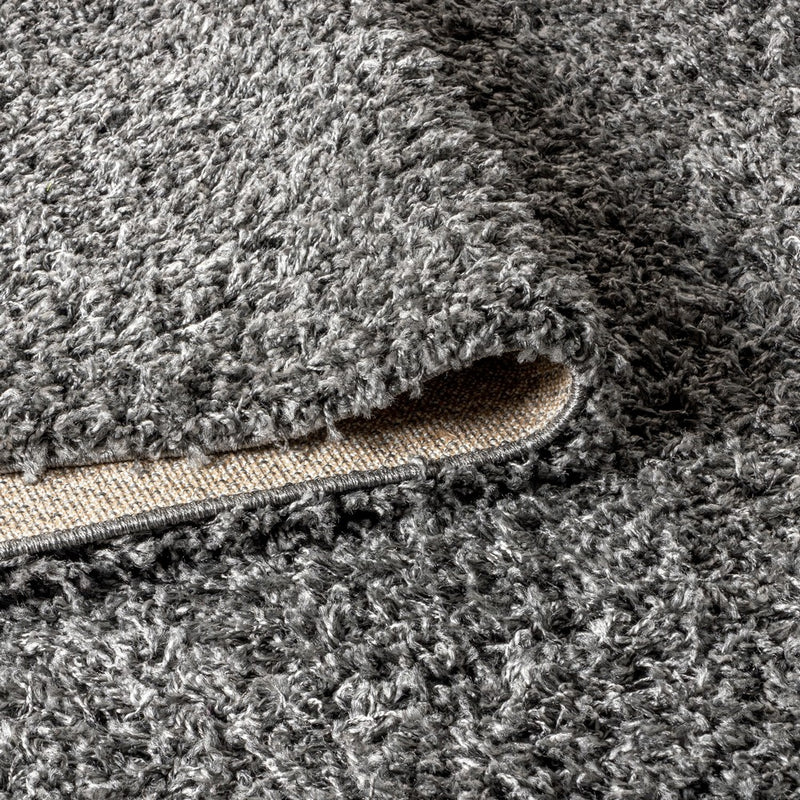 Mercer Shag Plush Tassel Area Rug