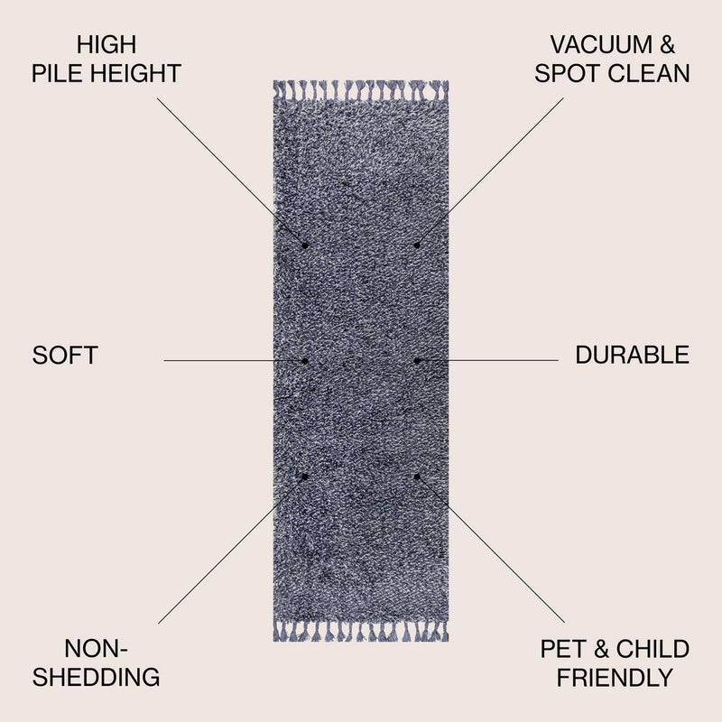 Mercer Shag Plush Tassel Area Rug