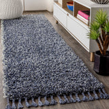 Mercer Shag Plush Tassel Area Rug