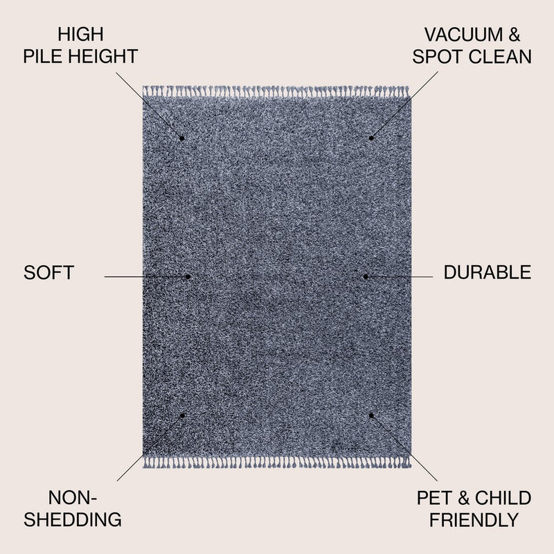 Mercer Shag Plush Tassel Area Rug