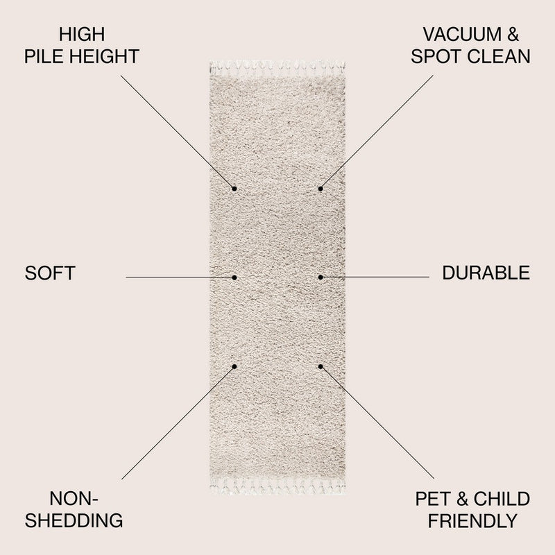 Mercer Shag Plush Tassel Area Rug