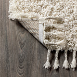 Mercer Shag Plush Tassel Area Rug