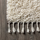 Mercer Shag Plush Tassel Area Rug