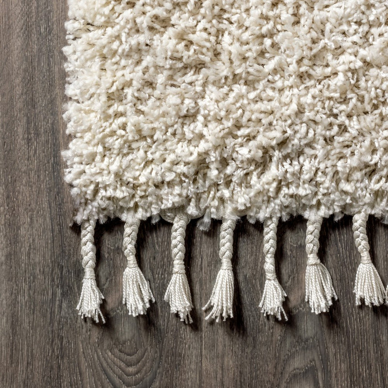 Mercer Shag Plush Tassel Area Rug