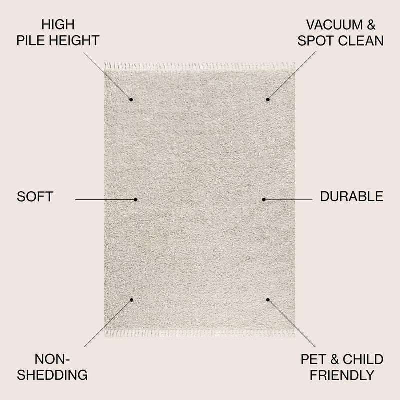 Mercer Shag Plush Tassel Area Rug
