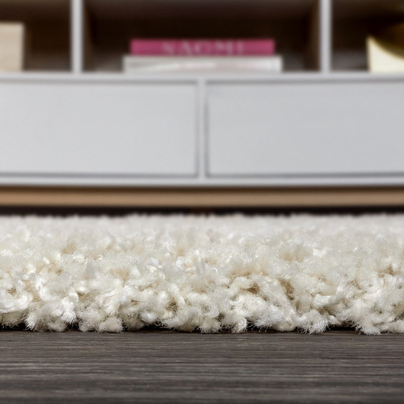 Mercer Shag Plush Tassel Area Rug