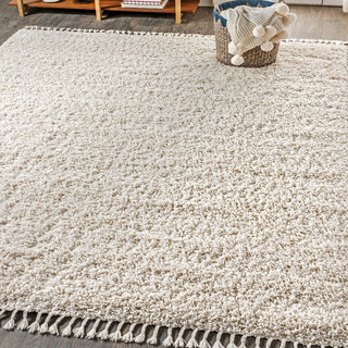 Mercer Shag Plush Tassel Area Rug