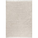 Mercer Shag Plush Tassel Area Rug