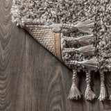 Mercer Shag Plush Tassel Area Rug