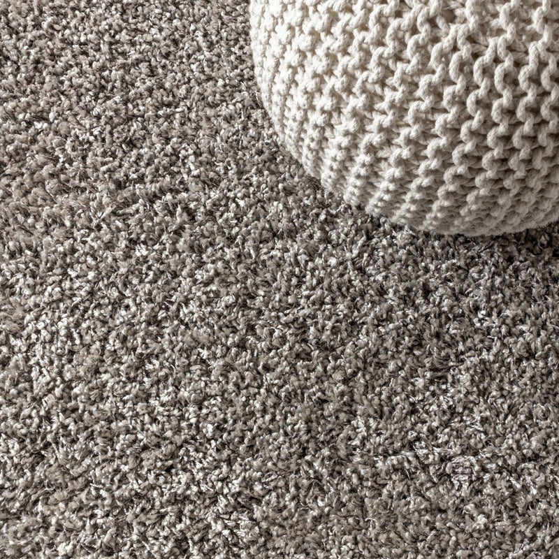 Mercer Shag Plush Tassel Area Rug