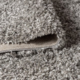 Mercer Shag Plush Tassel Area Rug