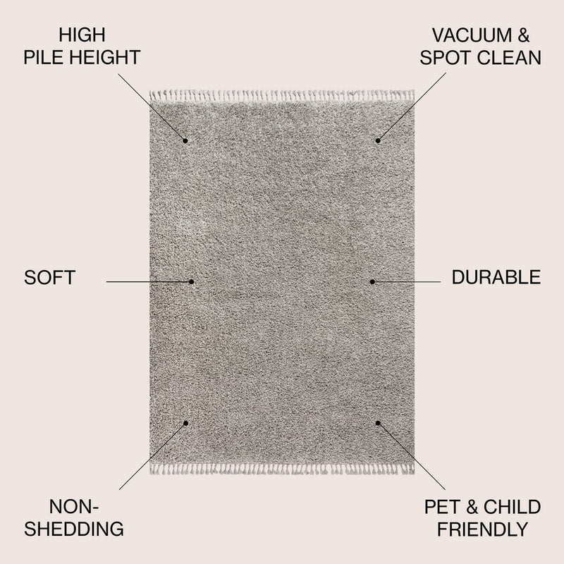 Mercer Shag Plush Tassel Area Rug