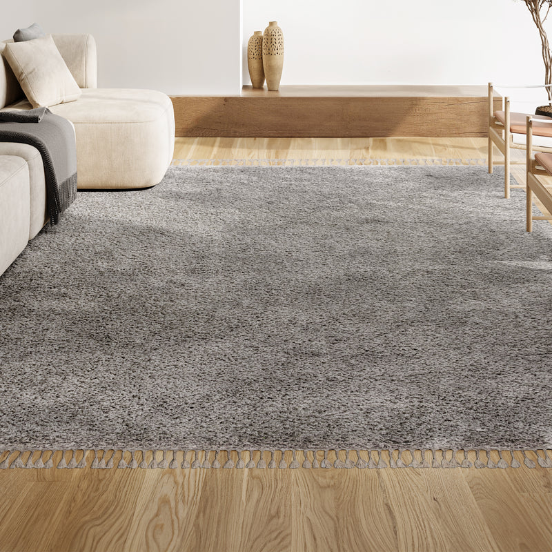 Mercer Shag Plush Tassel Area Rug
