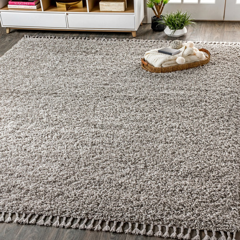 Mercer Shag Plush Tassel Area Rug