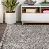 Mercer Shag Plush Tassel Area Rug