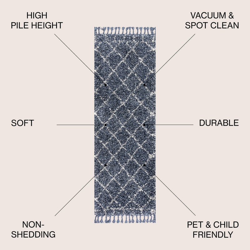 Mercer Shag Plush Tassel Moroccan Geometric Trellis Area Rug