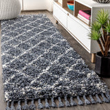 Mercer Shag Plush Tassel Moroccan Geometric Trellis Area Rug