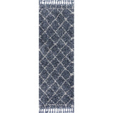 Mercer Shag Plush Tassel Moroccan Geometric Trellis Area Rug