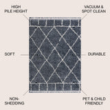Mercer Shag Plush Tassel Moroccan Geometric Trellis Area Rug