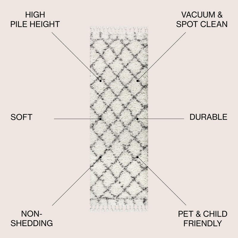 Mercer Shag Plush Tassel Moroccan Geometric Trellis Area Rug