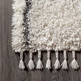 Mercer Shag Plush Tassel Moroccan Geometric Trellis Area Rug
