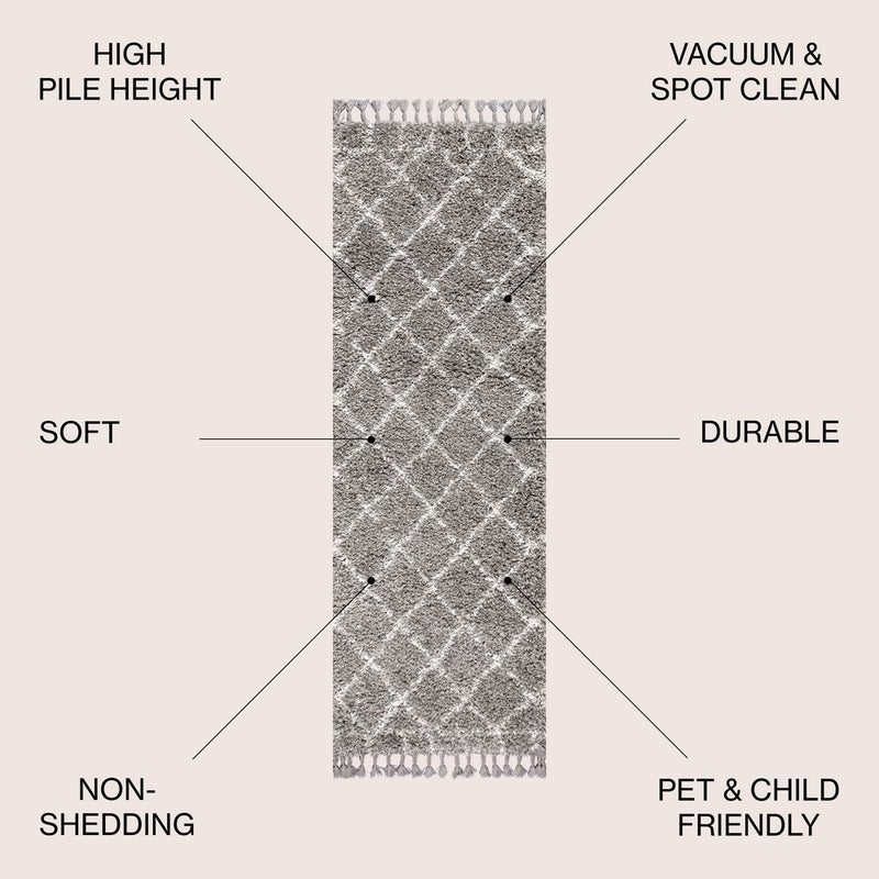 Mercer Shag Plush Tassel Moroccan Geometric Trellis Area Rug