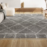 Mercer Shag Plush Tassel Moroccan Geometric Trellis Area Rug