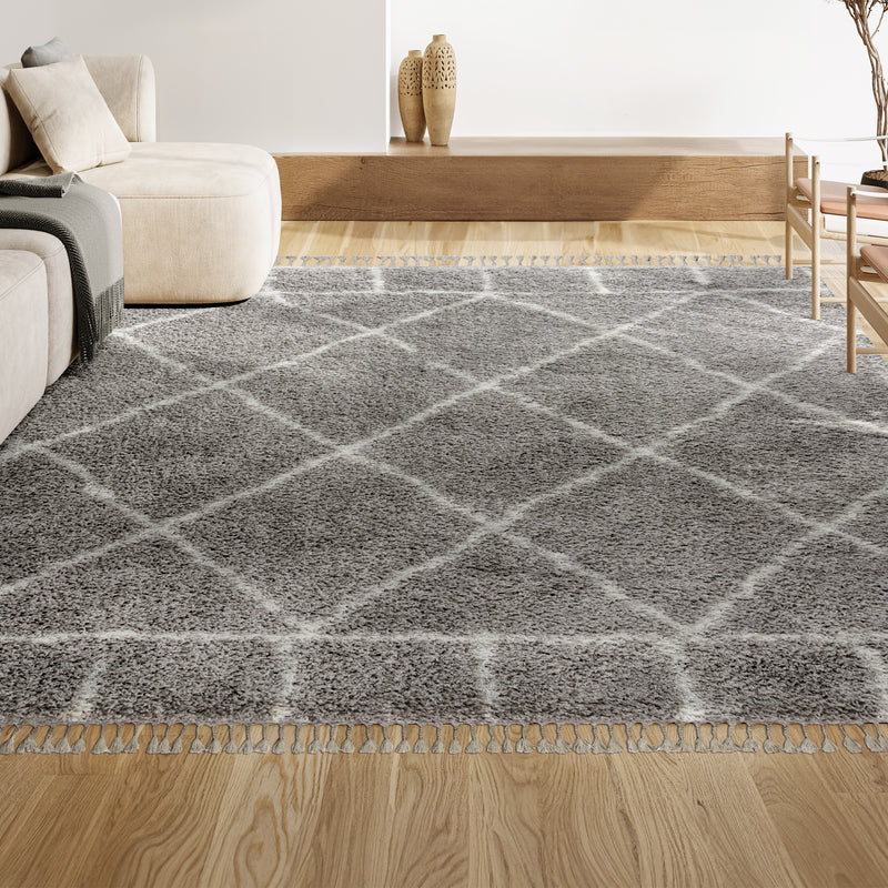 Mercer Shag Plush Tassel Moroccan Geometric Trellis Area Rug