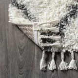 Mercer Shag Plush Tassel Moroccan Tribal Geometric Trellis Area Rug